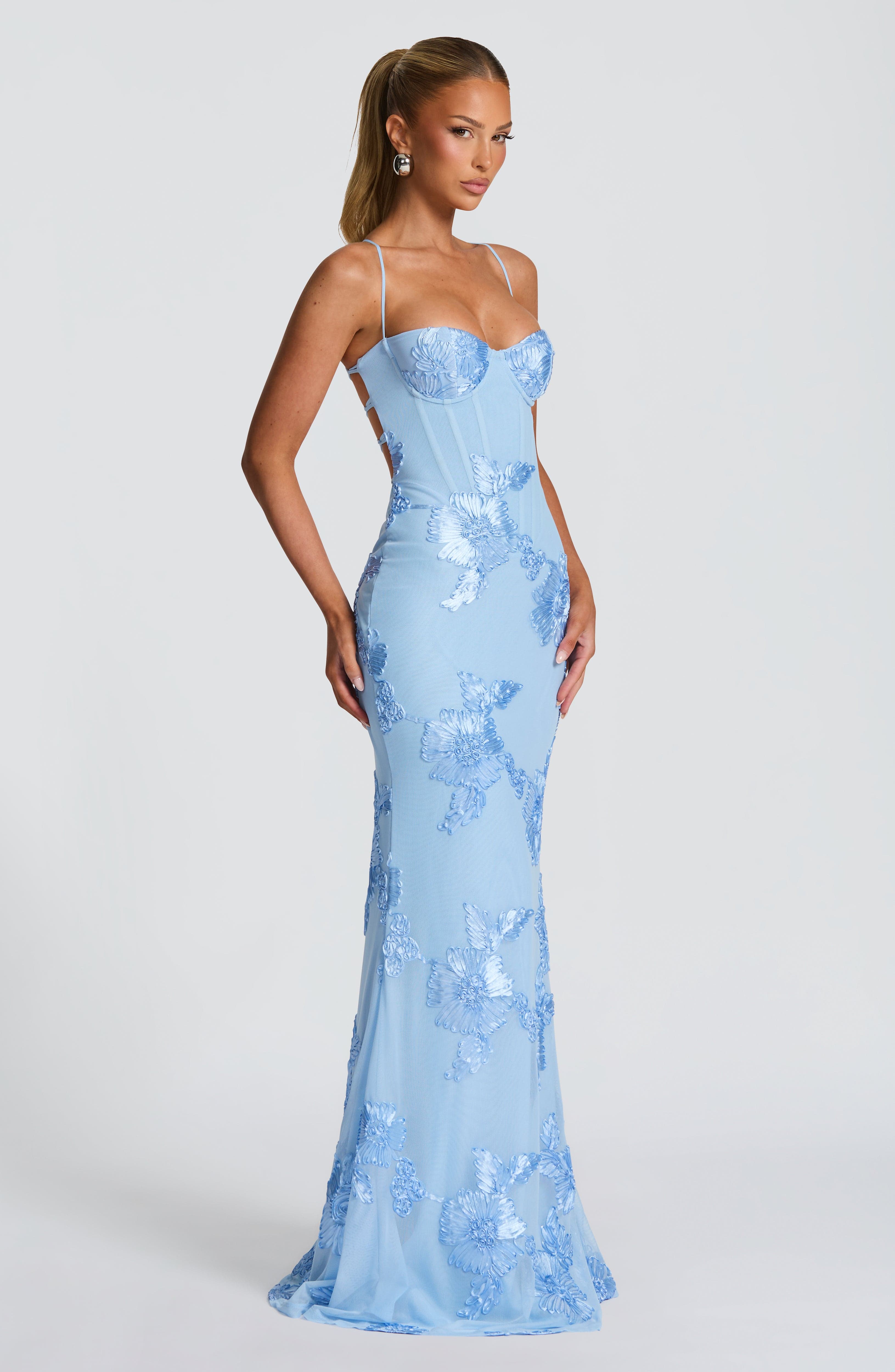 Van Laren | Mirelle Maxi Dress